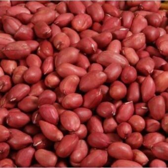 Peanuts With Red Skin 12.5kgs (2 Pack)