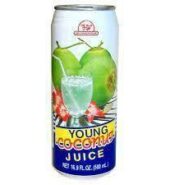S&D Young Coconut Juice with Pulp – L