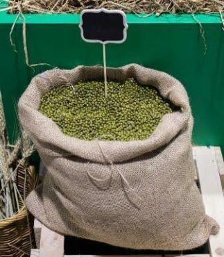 Green Mung Bean – Bulk (55lbs)